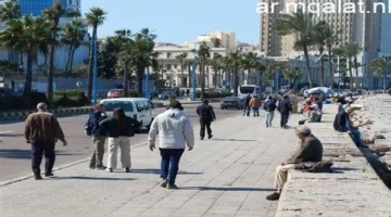 طقس الإسكندرية.. تحذيرات من برودة شديدة وظهور شبورة مائية كثيفة على الطرق